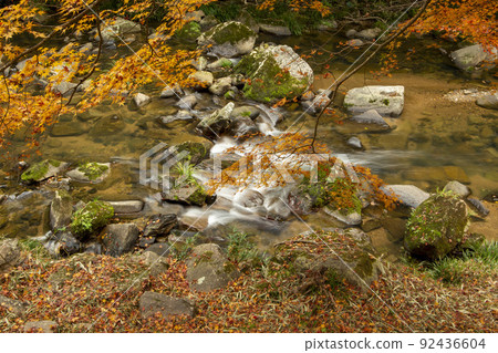 Fall of clear stream Fall of clear stream 92436604