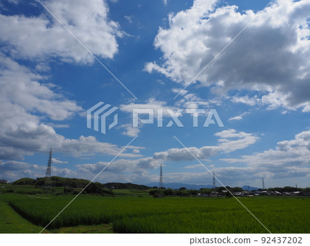 Summer countryside scenery Summer countryside scenery 92437202