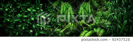 abstract stunning green leaf texture, tropical leaf foliage nature dark green background 92437528