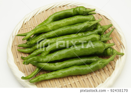 Fushimi sweet pepper 92438170