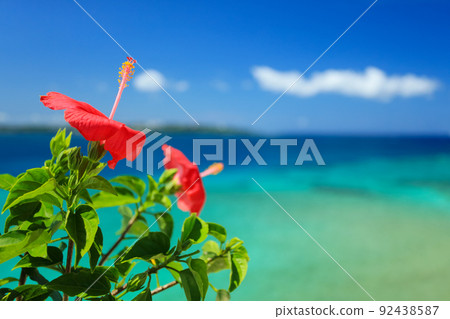 Okinawa's blue sea, blue sky and bright red hibiscus 92438587