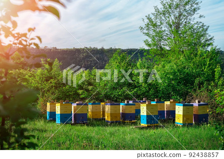 Eco-friendly apiary. An apiary where ecologically clean honey and other beekeeping products are obtained. Advantages of polyurethane hives. Top views. 92438857
