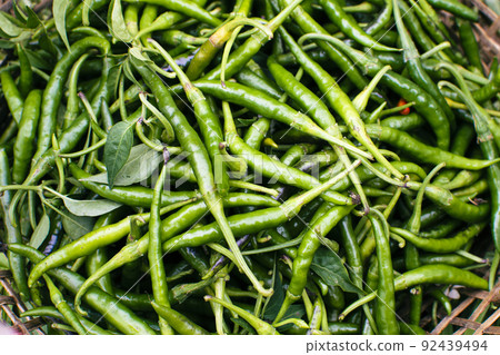 Fresh chili peppers from the chili garden are heaped in bamboo baskets 92439494