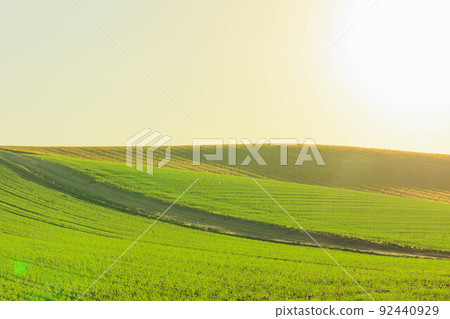 被夕陽染紅的美瑛山“秋天的北海道” 92440929