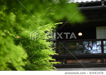 從老民居看到的綠色 92441476