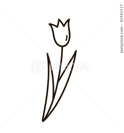 Cute doodle tulip with leaves isolated on white 92441517