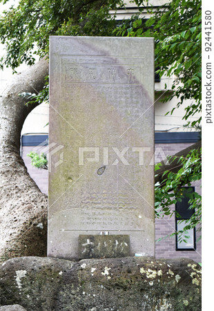 悼念平清森第 6 代曾孫的第 6 棵松樹紀念碑（靜岡縣沼津市） 92441580