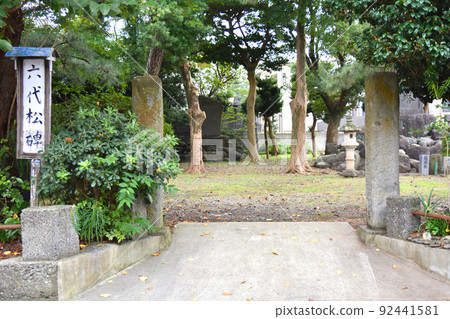 平清森的曾孫，第 6 號松樹碑（靜岡縣沼津市）入口 92441581