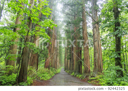  Togakushi Shrine Okusha 92442325