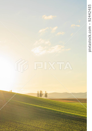 Mild Seven Hills "Autumn Hokkaido" dyed in the setting sun 92442485