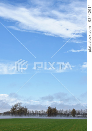 藍天下的淺霧(北海道東部) 藍天下的淺霧(北海道東部) 92442614