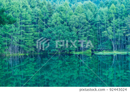 (Nagano Prefecture) Dark green Mishakaike Pond approaching dusk 92443024