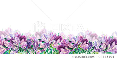 Banner Rosemary with large purple flowers on a white background. Twig with flower. Watercolor illustration of spices for cooking. Botanical provencal herbs. Suitable for postcards, website, design. 92443594