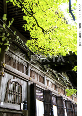 京都寺的形象 92443822