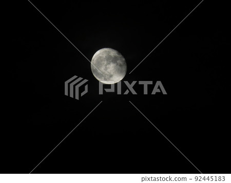 親愛的月亮 親愛的月亮 92445183