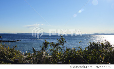 Sea Sea 92445480