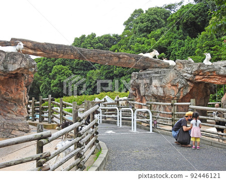 位於福岡縣北九州市，充分利用自然環境的動物園。 92446121
