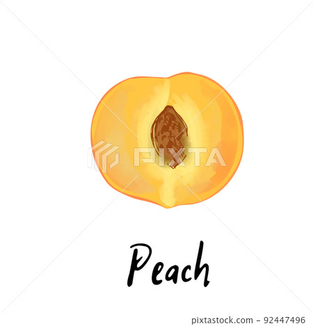 Illustration of a peach isolated on a white 92447496