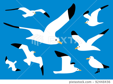 海鷗插畫圖案在藍天中自由飛翔 92448436