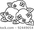 Simple hydrangea ③ Hand-drawn style illustration line drawing material 92449054