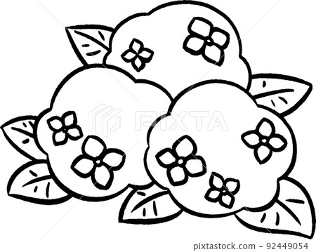Simple hydrangea ③ Hand-drawn style illustration line drawing material Simple hydrangea ③ Hand-drawn style illustration line drawing material 92449054