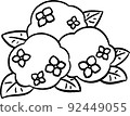Simple hydrangea ④ Hand-drawn style illustration line drawing material 92449055