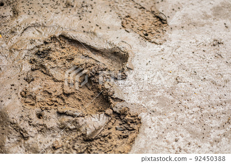 Sticky wet mud soft liquid suction land messy dirty brown clay nature texture for background. Sticky wet mud soft liquid suction land messy dirty brown clay nature texture for background. 92450388