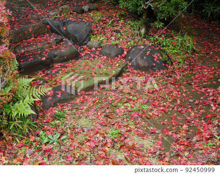 Image of stone steps in a garden covered with fallen leaves of autumn leaves Image of stone steps in a garden covered with fallen leaves of autumn leaves 92450999