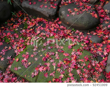 Image of stone steps in a garden covered with fallen leaves of autumn leaves 92451009