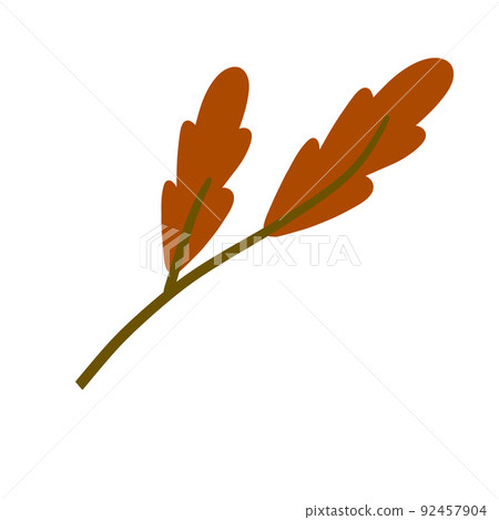 Branch with orange leaves. Plant design. Branch with orange leaves. Plant design. 92457904