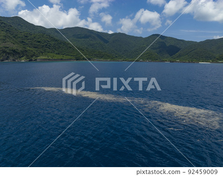 Pumice floating on the sea (sea near Amami Oshima) 92459009