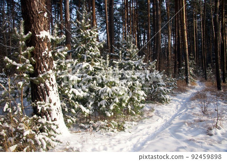 winter landscape, nature covered with snow at winter sunset 92459898