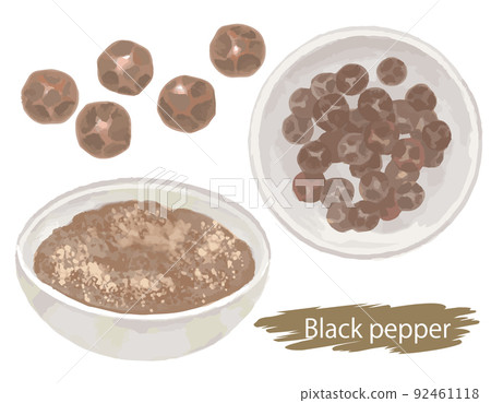 Watercolor style, black pepper (hole). Vector illustration material 92461118