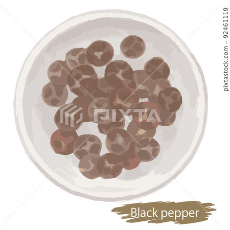 Watercolor style, black pepper (hole). Vector illustration material 92461119
