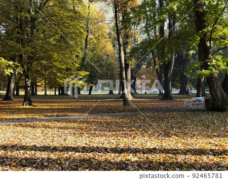 Autumn foliage scenery in an autumn park in Central Europe Autumn foliage scenery in an autumn park in Central Europe 92465781