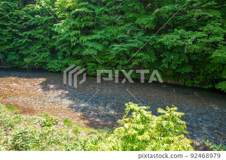 Shimagawa, under the Shimagawa Dam, scenery near Hinatami Park, fresh green season 92468979