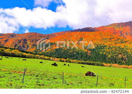 A refreshing autumn sky and a quiet ranch A refreshing autumn sky and a quiet ranch 92472144