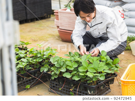 Agriculture  92472945