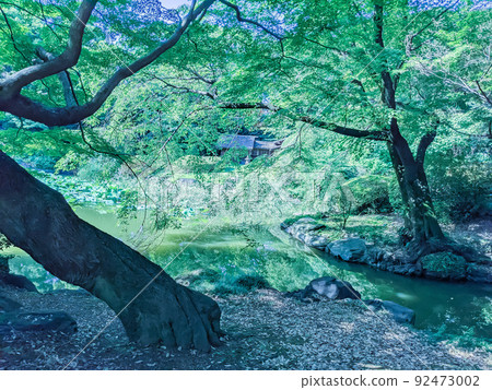 涼爽的陰影景觀 涼爽的陰影景觀 92473002