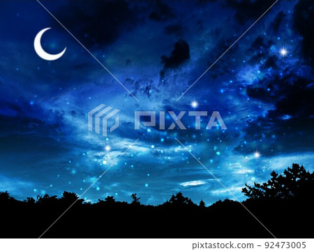 Moonlit night sky and tree silhouette Moonlit night sky and tree silhouette 92473005