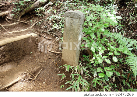 高水山登山道八合目石柱（東京都青梅市） 92473269