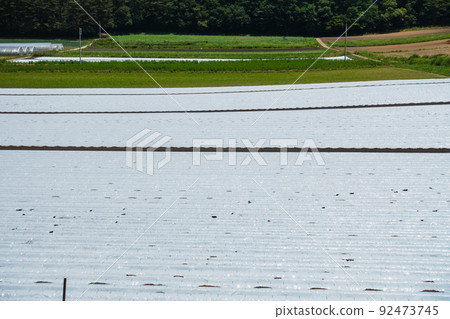Farm in the mountains [Nagano Prefecture] 92473745