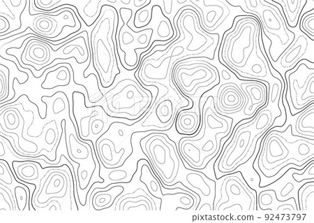 Topography map on white background. Contour line abstract terrain relief texture. Geographic wavy landscape. Vector illustration. 92473797