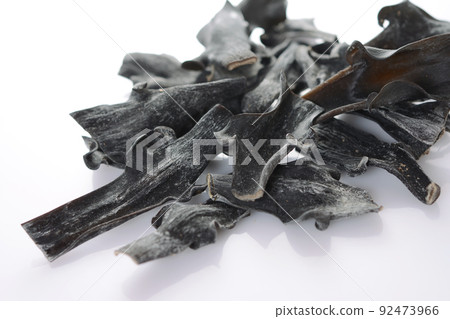 Clawfoot kelp Root kelp Clawfoot kelp Root kelp 92473966