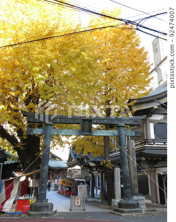 Yushima Tenjin (Yushima Tenjin Shrine) in December with beautiful yellow leaves of ginkgo Yushima Tenjin (Yushima Tenjin Shrine) in December with beautiful yellow leaves of ginkgo 92474007