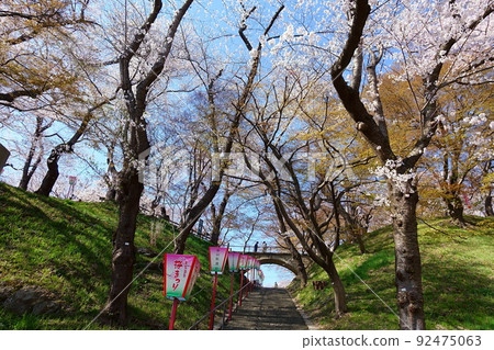 櫻花盛開 Sakura Sakura Eboshiyama Park 櫻花盛開 Sakura Sakura Eboshiyama Park 92475063