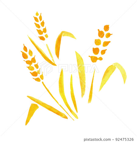 Bread watercolor illustration 92475326