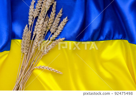 Fabric wave flag of Ukraine with wheat spikes. Blue and yellow bright colors 92475498