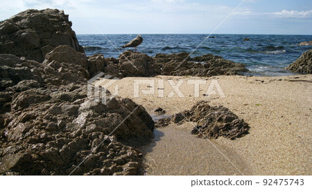 Young black-tailed gulls and the Sea of Japan staying on strange rocks on a sandy beach Young black-tailed gulls and the Sea of Japan staying on strange rocks on a sandy beach 92475743