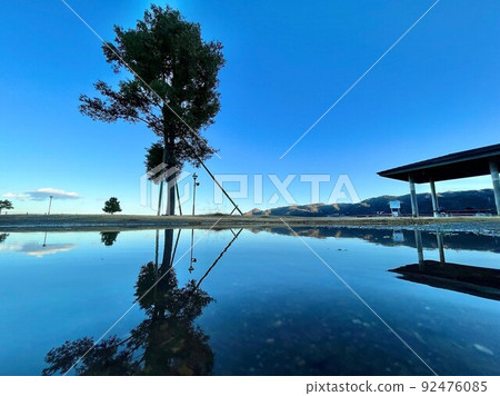 站立的樹木和黃昏的倒影 92476085